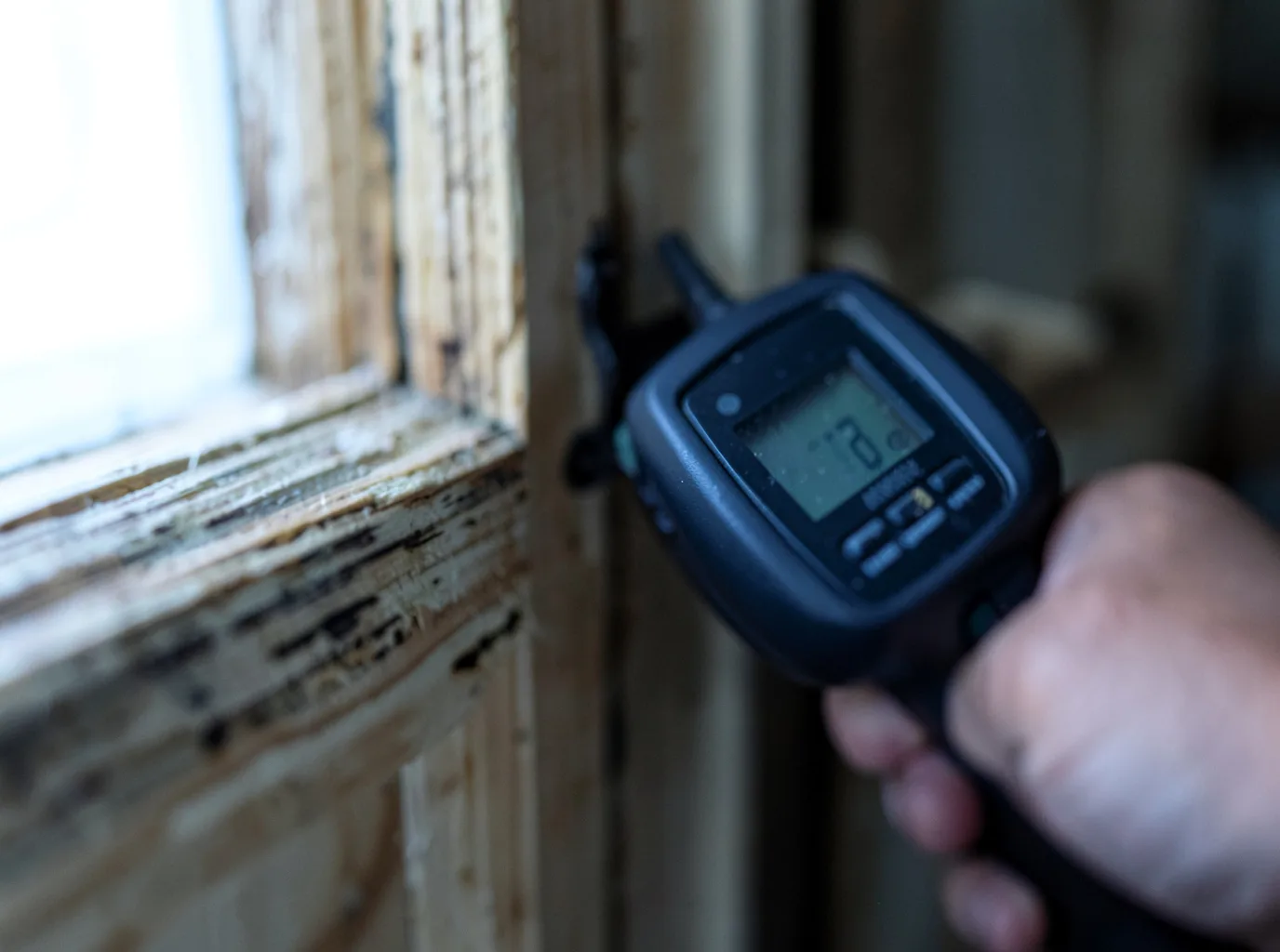 Moisture Inspection And Documentation in Terrytown, LA